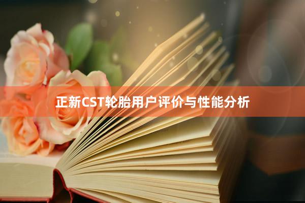 正新CST轮胎用户评价与性能分析