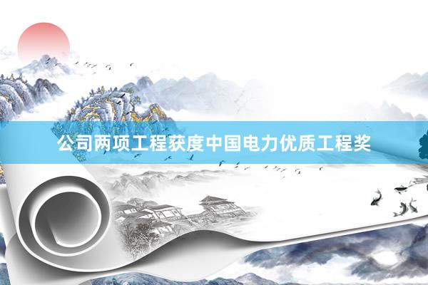 公司两项工程获度中国电力优质工程奖