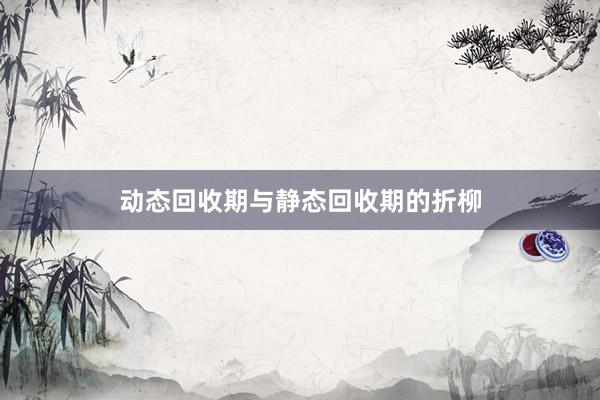 动态回收期与静态回收期的折柳