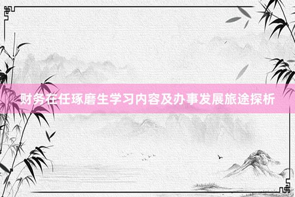 财务在任琢磨生学习内容及办事发展旅途探析