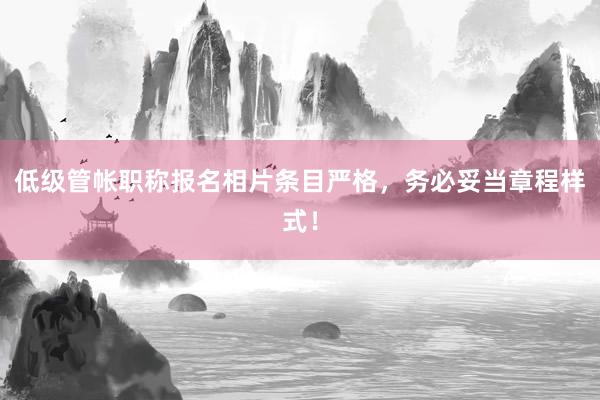 低级管帐职称报名相片条目严格，务必妥当章程样式！