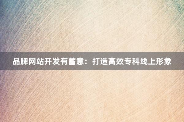 品牌网站开发有蓄意：打造高效专科线上形象